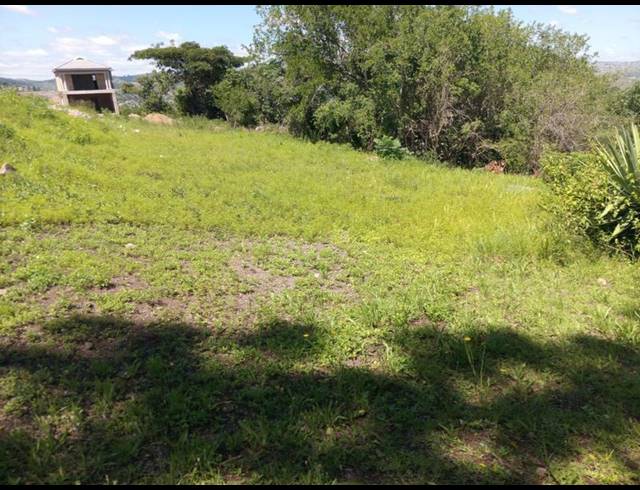 LAND FOR SALE IN NAGINA